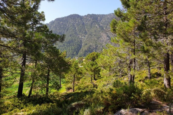 Cruzando de los parques naturales de Chefchaouen