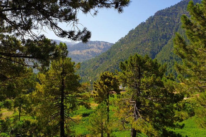 Explora los alrededores de Chefchaouen