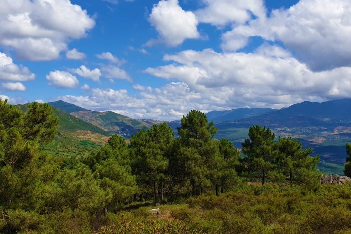 L’Arrière Pays de Chefchaouen