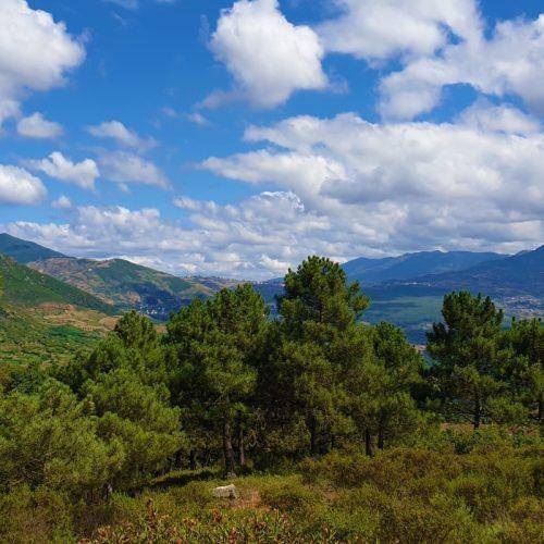 Community based tourism in Chefchaouen